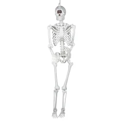 5 Ft. Life-Size Cyclops Skeleton Halloween Decoration