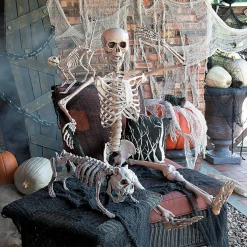 5 Ft. Life-Size Posable Skeleton Halloween Decoration