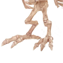 13.5" Owl Skeleton Decoration