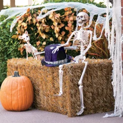 3' Posable Skeleton Halloween Decoration