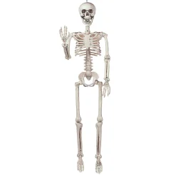 3' Posable Skeleton Halloween Decoration
