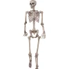 62" Poseable Skeleton Decoration