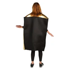 Adult Holy Bible Costume
