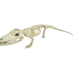 Alligator Skeleton Halloween Decoration