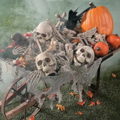Bag Of Bones Halloween Decoration