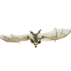 Bat With Skull Head (Brown)