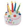 Birthday Party Autograph Stuffed Birthday Cake