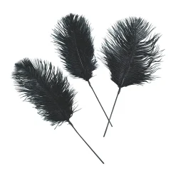 Black Ostrich Feathers - 24 Pc.