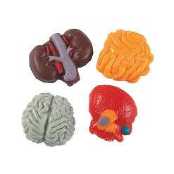 Body Parts Gummy Candy - 38 Pc.