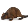 Collecta Wildlife Collection Miniature Figure Woodlands Beaver