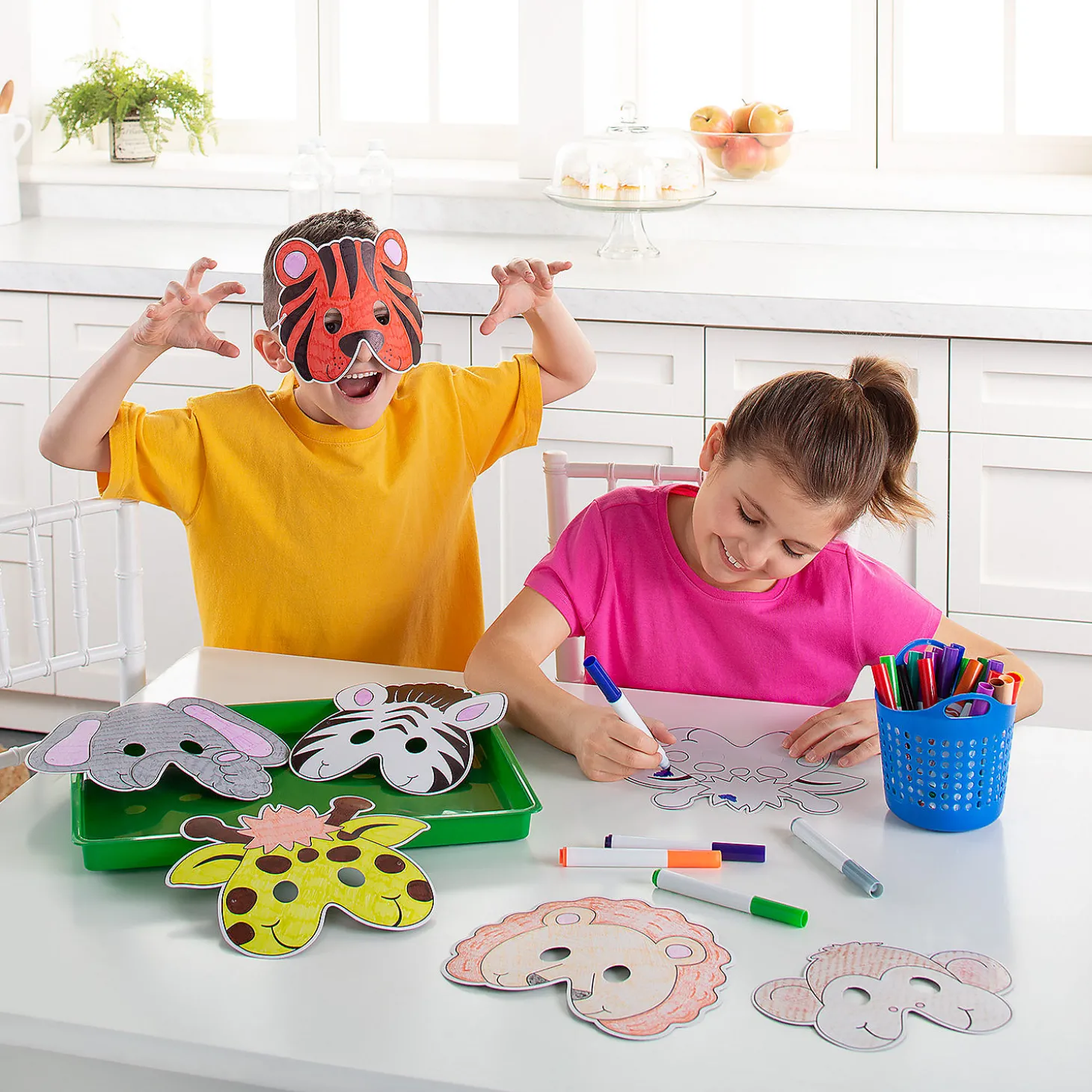 Color Your Own Zoo Animal Masks - 12 Pc.