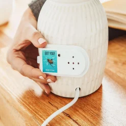 Crazy Cricket Hidden Chirping Noise Prank 3 Highly Realistic Sound Effects