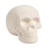 Diy Ceramic Skull