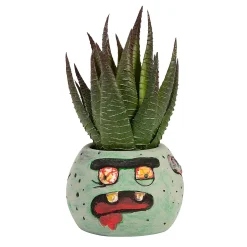 Diy Mini Ceramic Zombie Planters – 12 Pc.