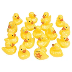 Duck Matching Game
