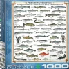 Freshwater Fish 1000 Piece Jigsaw Puzzle