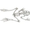 Frog Skeleton Halloween Decoration