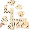 Giant Backyard Dominoes Game