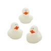 Glow-In-The-Dark Rubber Ducks - 12 Pc.