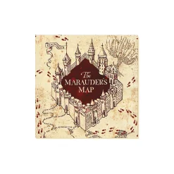 Harry Potter™ Mischief Managed Tableware Kit For 20 Guests