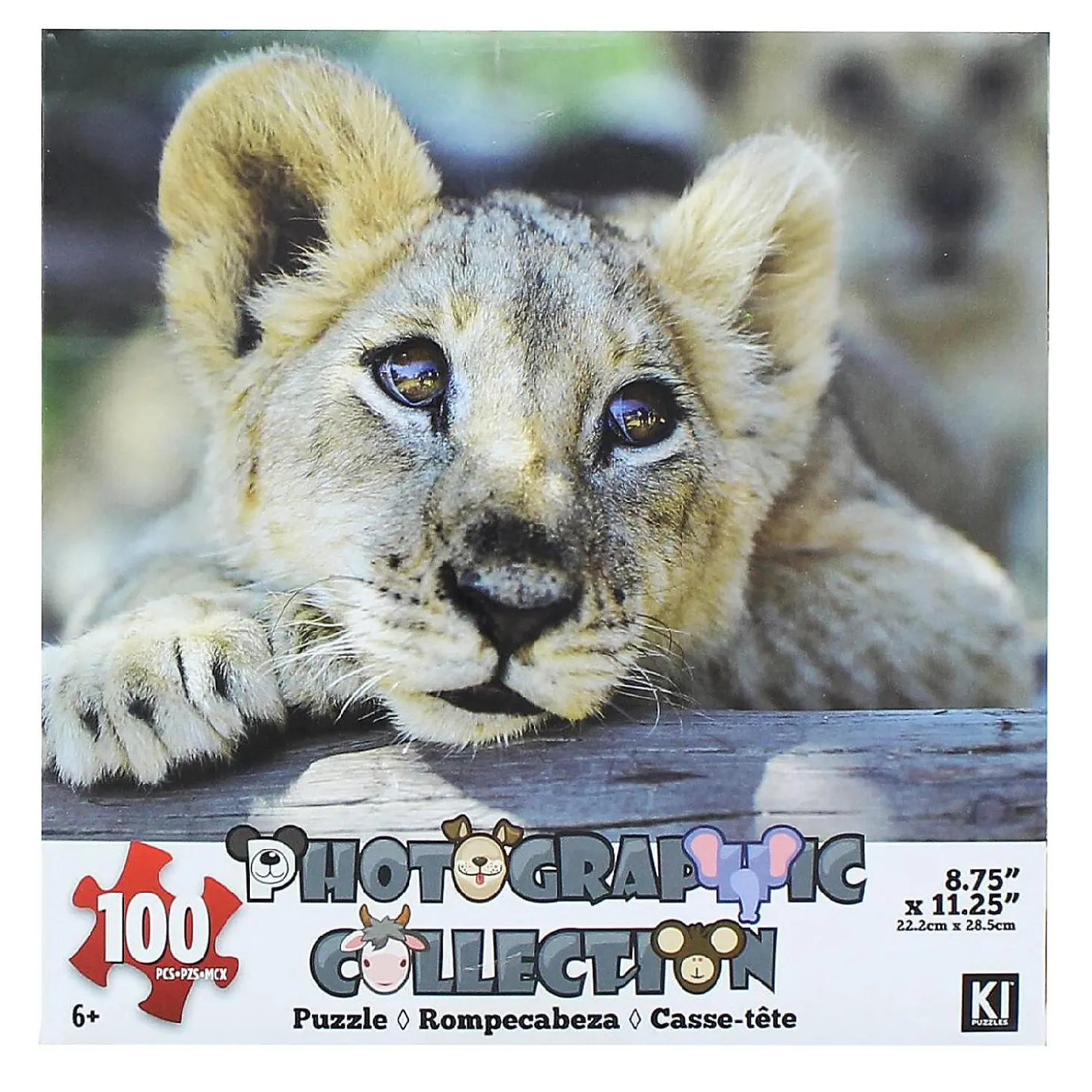 Lion 100 Piece Photographic Collection Jigsaw Puzzle
