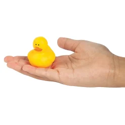 Mini Neon Rubber Ducks - 24 Pc.