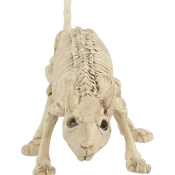 Mini Skeleton Rat Prop