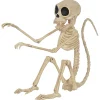 Monkey Skeleton