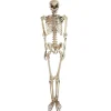 Northlight 5' Life Size Skeleton Halloween Decoration
