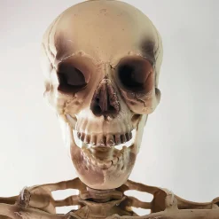 Northlight 5' Life Size Skeleton Halloween Decoration