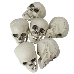 Pack Of 6 Skull Head Halloween Decorations 3.5"