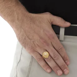 Palmbeach Jewelry Men's Yellow Gold-Plated Sterling Silver Genuine Diamond Accent Lion's Head Ring Sizes 8-16