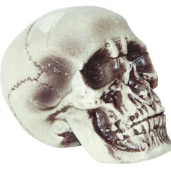 Realistic Skull Decoration