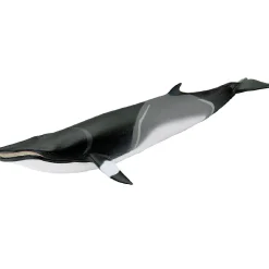 Safari Ltd. Minke Whale