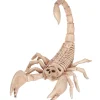 Scorpion Skeleton Halloween Decoration
