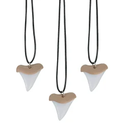 Shark Tooth Necklaces - 12 Pc.
