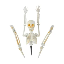 Skeleton Body Pumpkin Poke-Ins Halloween Decoration - 5 Pc.