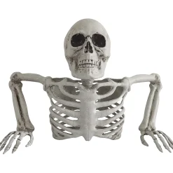 Skeleton Groundbreaker Decoration