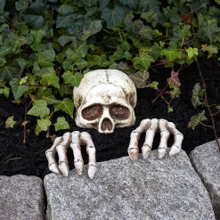 Skeleton Groundbreaker Decoration Set