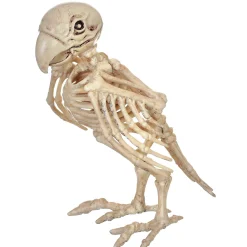 Skeleton Parrot Prop