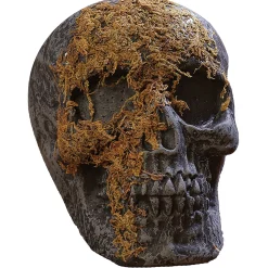 Skull Moss Covered With Jaw