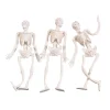 Stretchy Skeletons