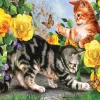 Sunsout Kitten Play 500 Pc Jigsaw Puzzle
