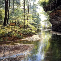 Sunsout Quiet Forest 1000 Pc Jigsaw Puzzle