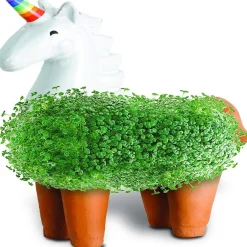 Unicorn With Rainbow Horn Chia Pet Decorative Planter