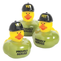 Veteran Rubber Ducks - 12 Pc.