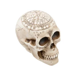 Withchcraft Skull Halloween Decoration