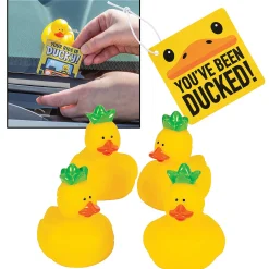 You'Ve Been Ducked Pineapple Kit For 12
